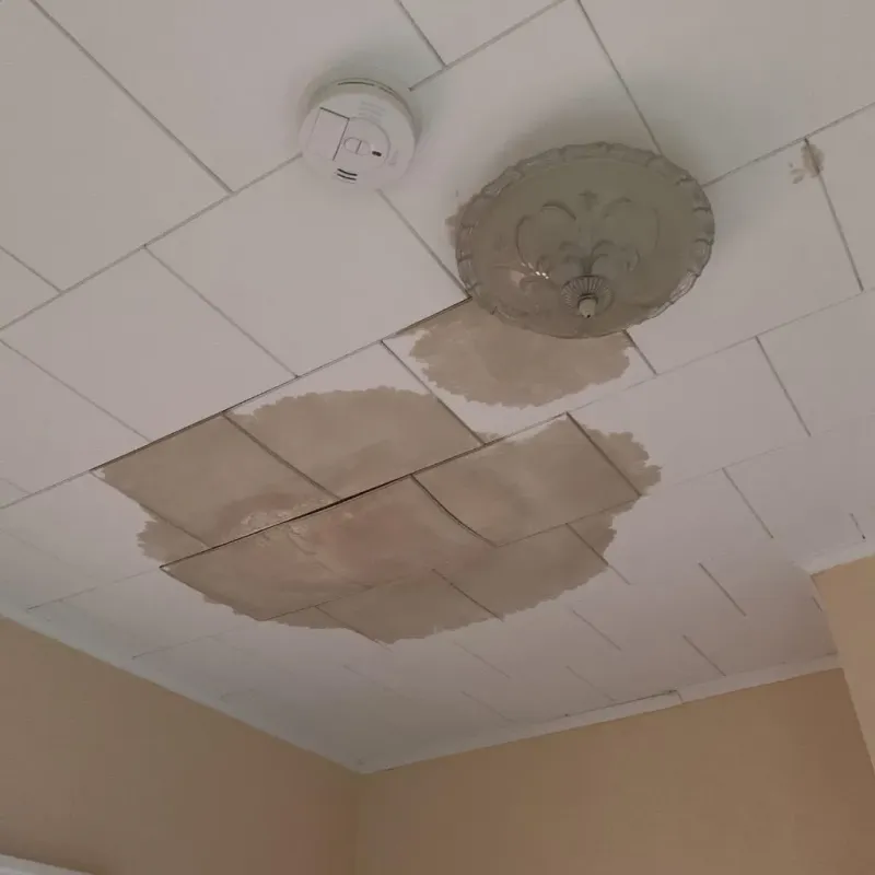 Ceiling Water Damage Repair in Blennerhassett, WV