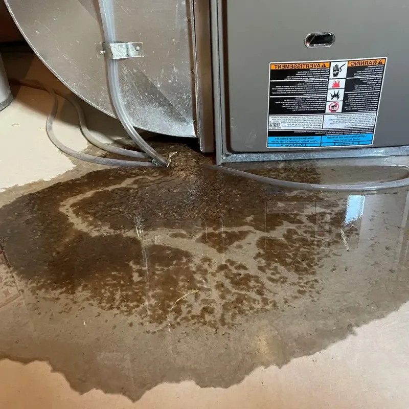 Pipe Burst and Leak Restoration in Blennerhassett, WV