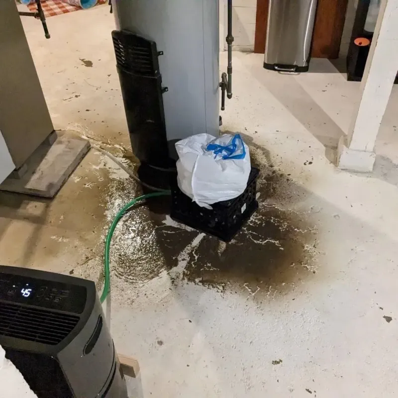 Sewage Backup Cleanup Service in Blennerhassett, WV